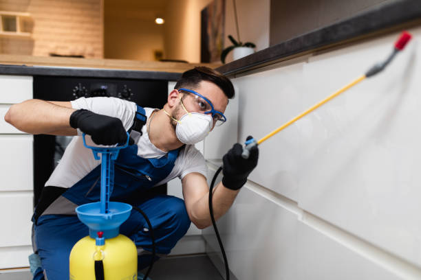 Flea Control Services in Butler, PA