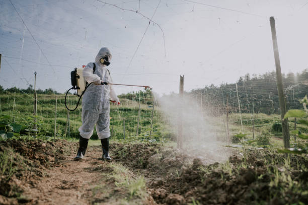 Best Commercial Pest Control Services  in Butler, PA