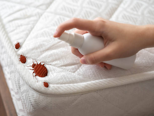 Best Bed Bug Extermination  in Butler, PA