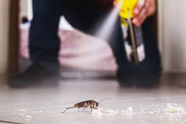 Best Pest Prevention Services  in Butler, PA