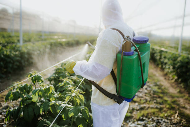  Butler, PA Pest Control Pros